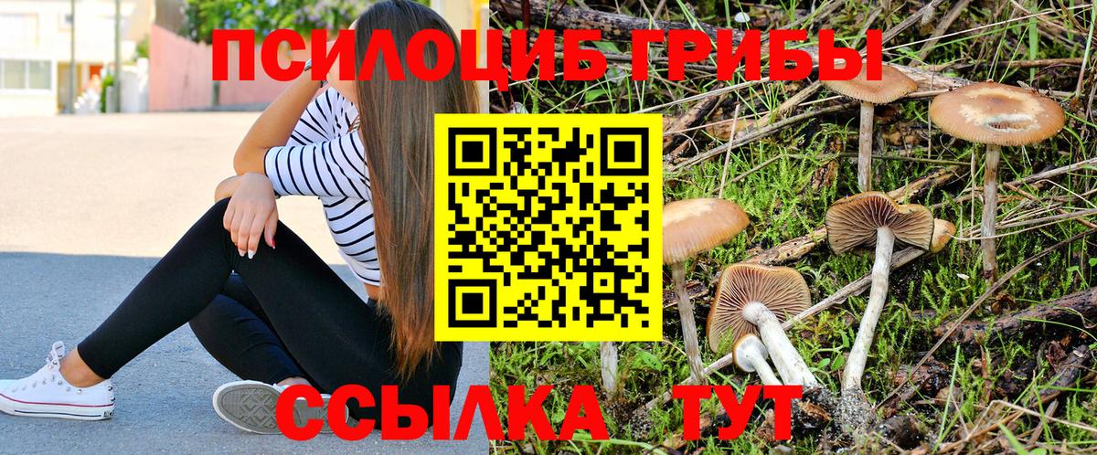 цены наркотик  Вход с VPN  Псилоцибиновые грибы Psilocybine cubensis  Рузаевка  Галлюциногенные грибы Cubensis 