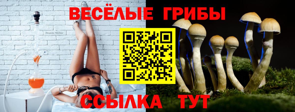 Галлюциногенные грибы ЛСД Рузаевка